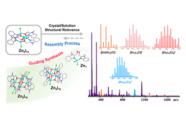 Synthesis, separation and structure of zinc coordination clusters: Proposal of an assembly-disassembly-reassembly process observed from ESI-MS  2025.100602